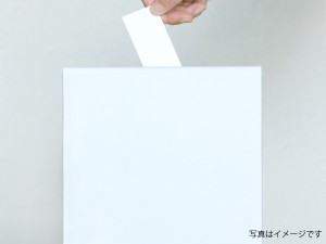 投票の方法